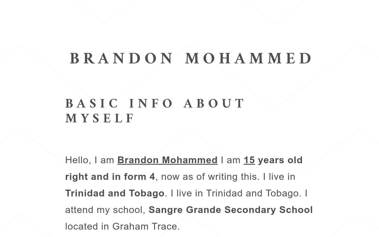 Brandon Mohammed's Journal